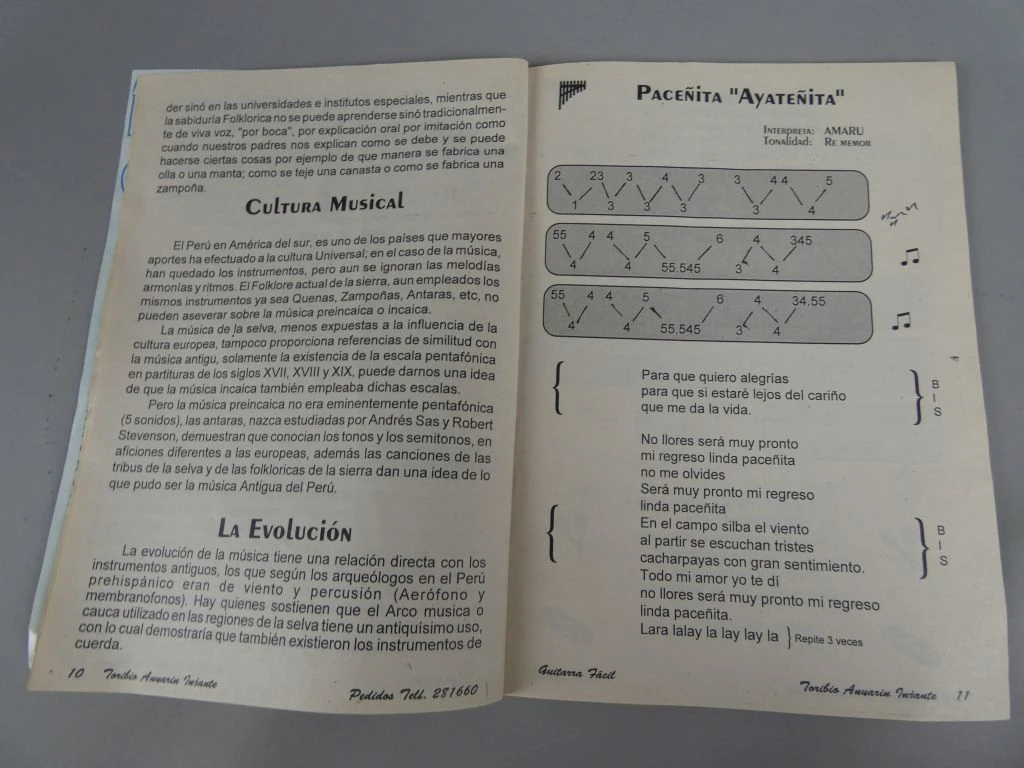 Zampoña panfluit met instructieboekje - foto 6