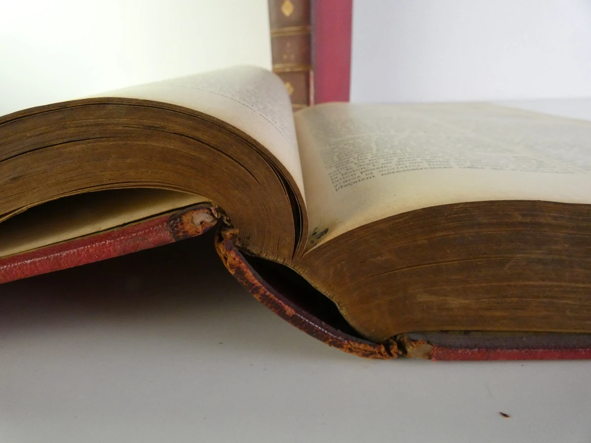Oud medische encyclopedie - Dr. Paul Labarthe - 2 delen - foto 5