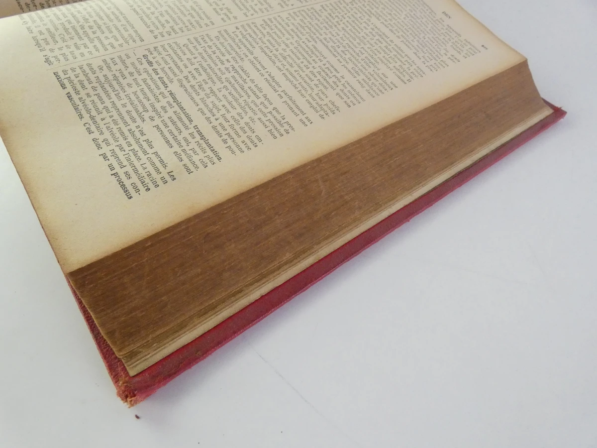 Oud medische encyclopedie - Dr. Paul Labarthe - 2 delen - foto 6