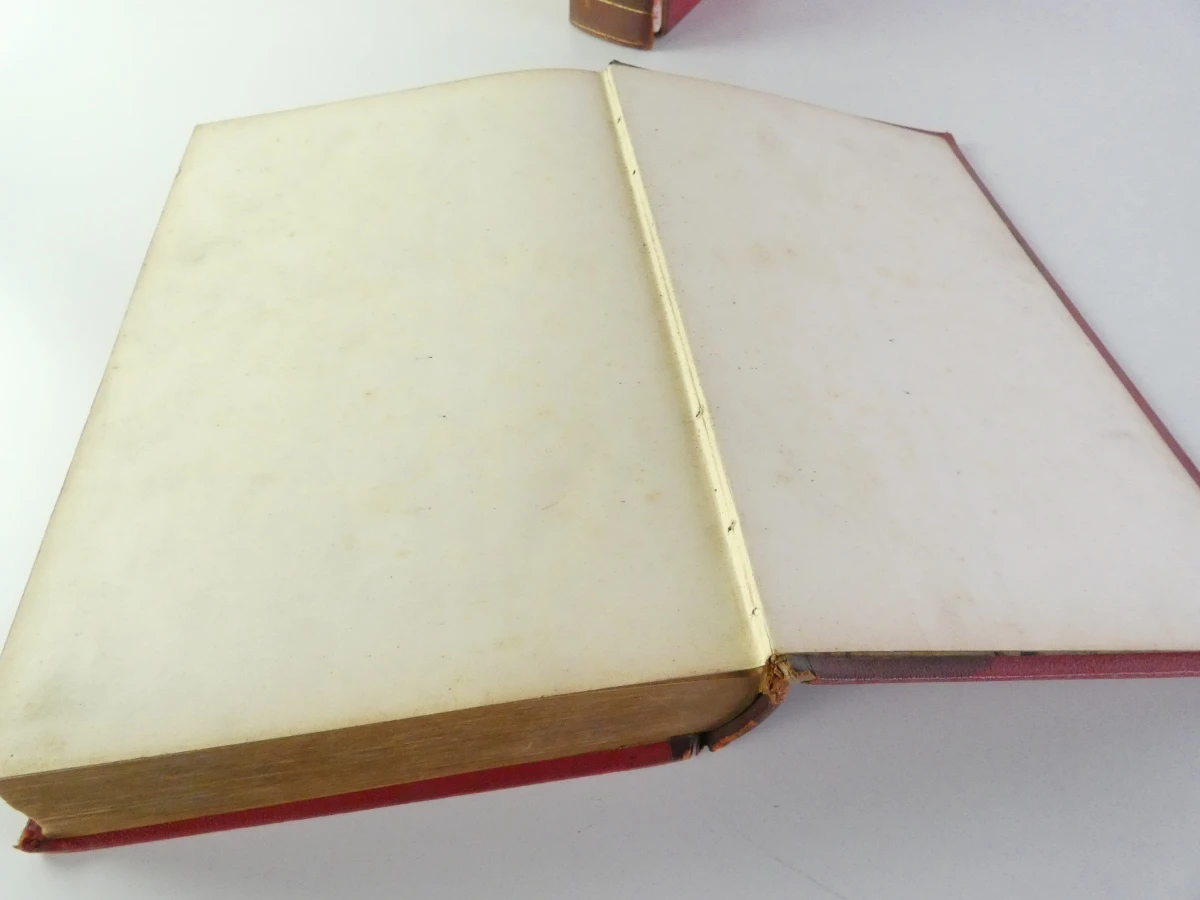 Oud medische encyclopedie - Dr. Paul Labarthe - 2 delen - foto 8