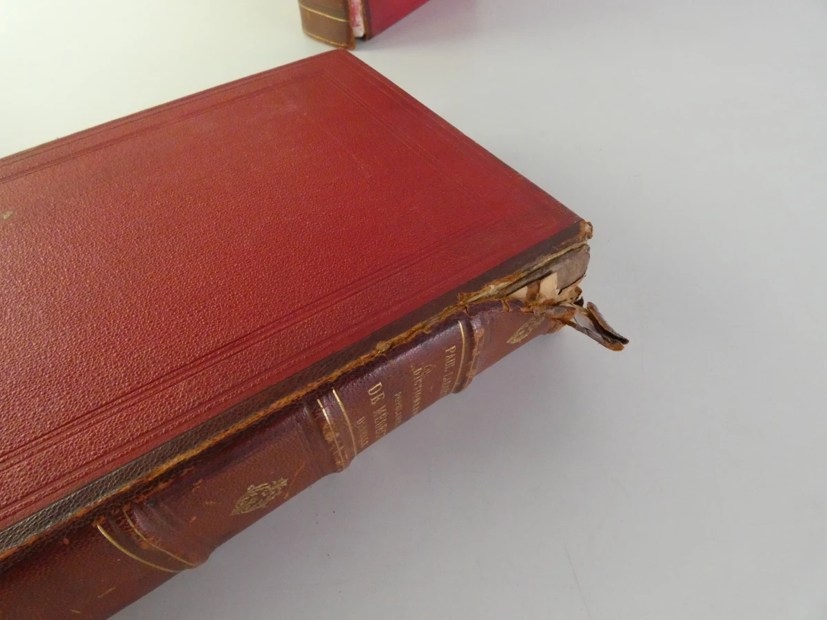 Oud medische encyclopedie - Dr. Paul Labarthe - 2 delen - foto 9