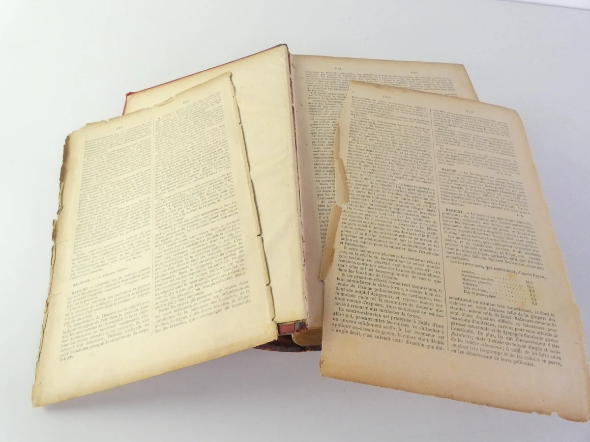 Oud medische encyclopedie - Dr. Paul Labarthe - 2 delen - foto 13