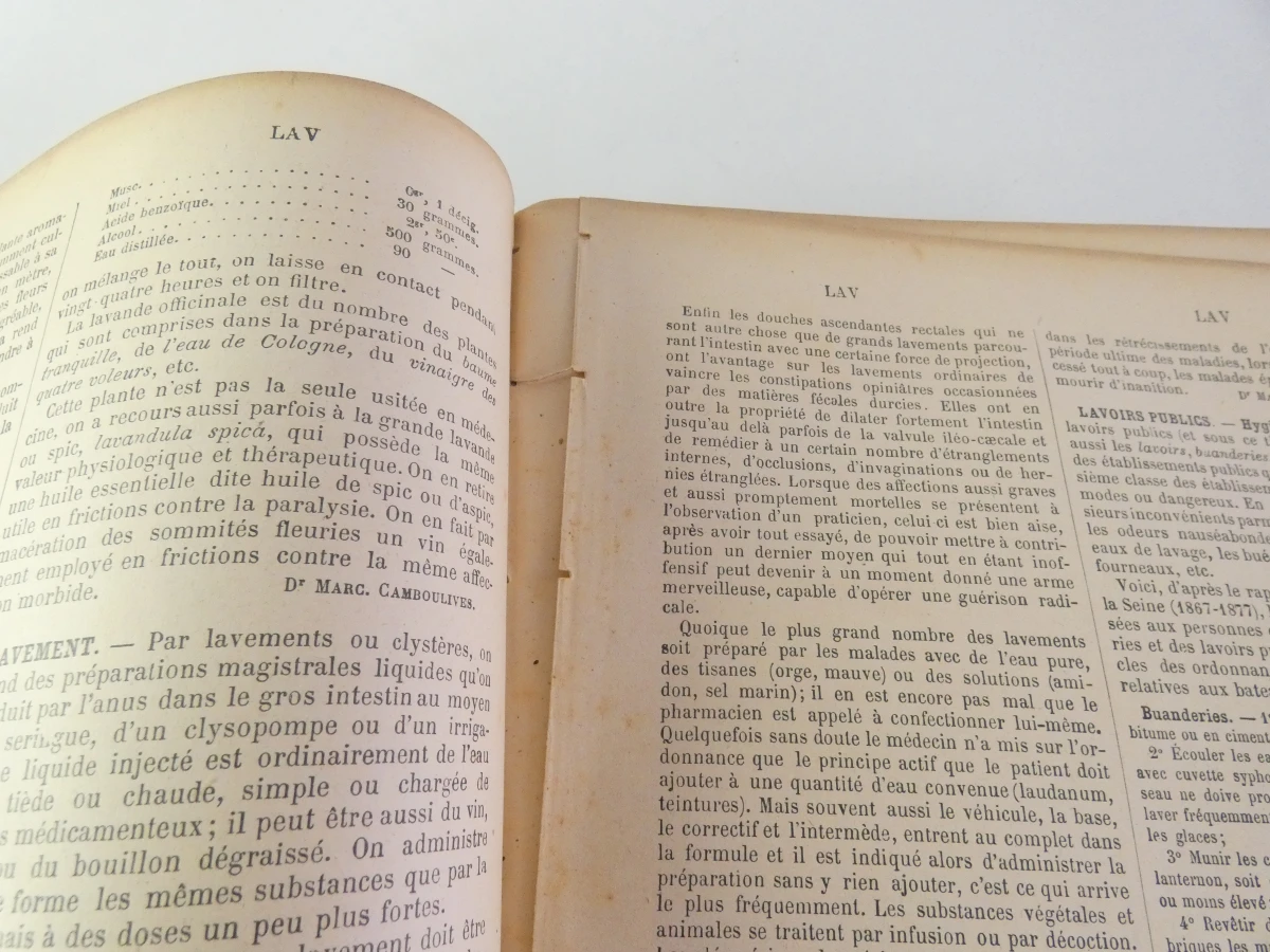 Oud medische encyclopedie - Dr. Paul Labarthe - 2 delen - foto 14