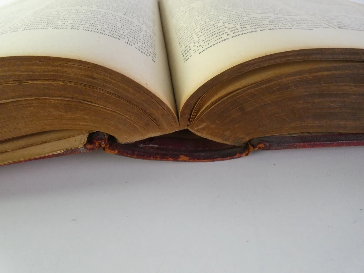 Oud medische encyclopedie - Dr. Paul Labarthe - 2 delen - foto 15