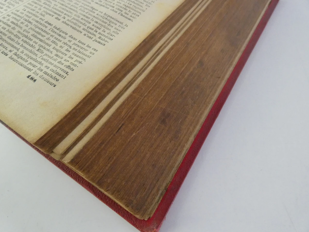 Oud medische encyclopedie - Dr. Paul Labarthe - 2 delen - foto 16