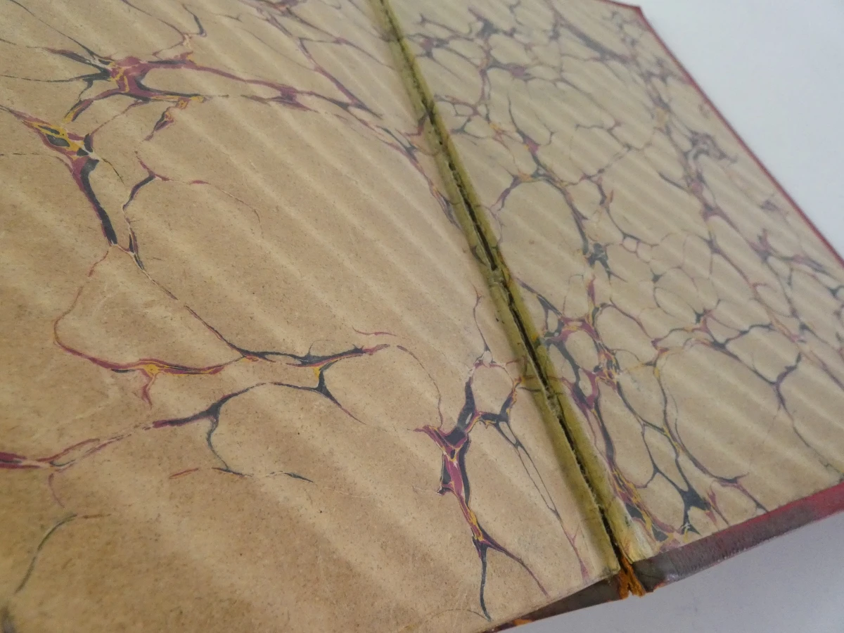 Oud medische encyclopedie - Dr. Paul Labarthe - 2 delen - foto 18