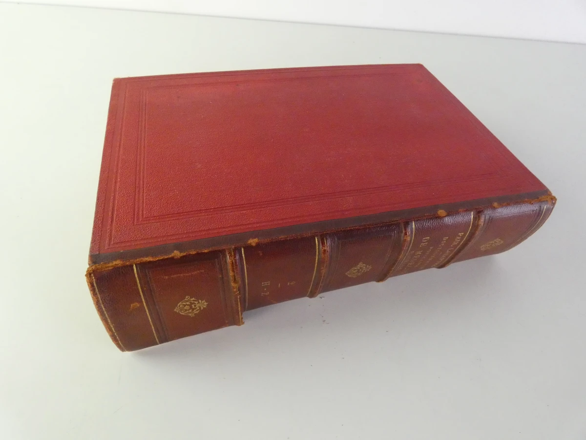 Oud medische encyclopedie - Dr. Paul Labarthe - 2 delen - foto 19