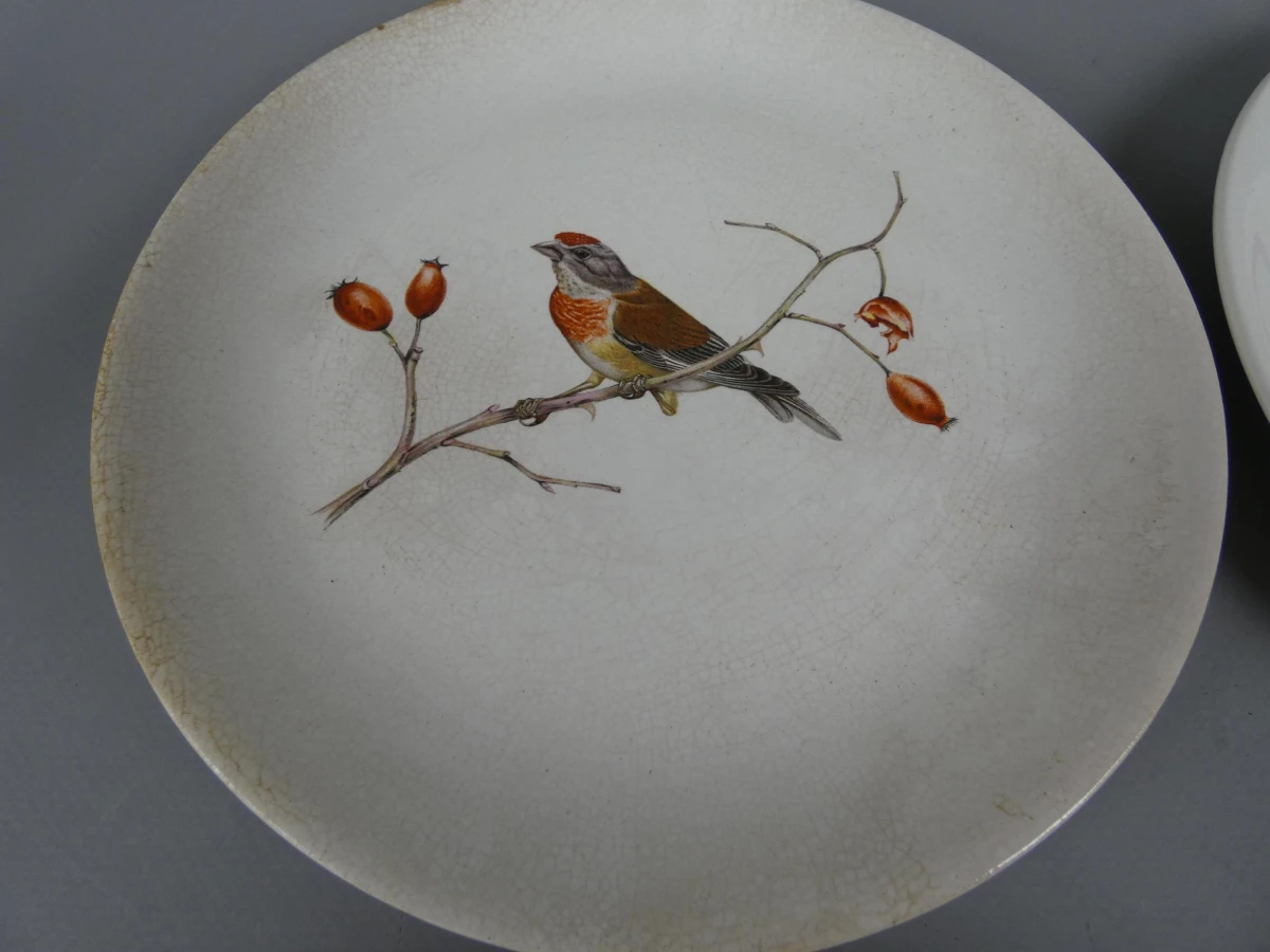 6 kleine Villeroy & Boch borden vogels - foto 2