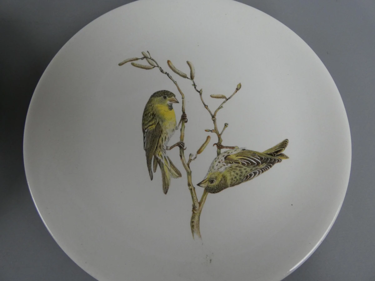 6 kleine Villeroy & Boch borden vogels - foto 5