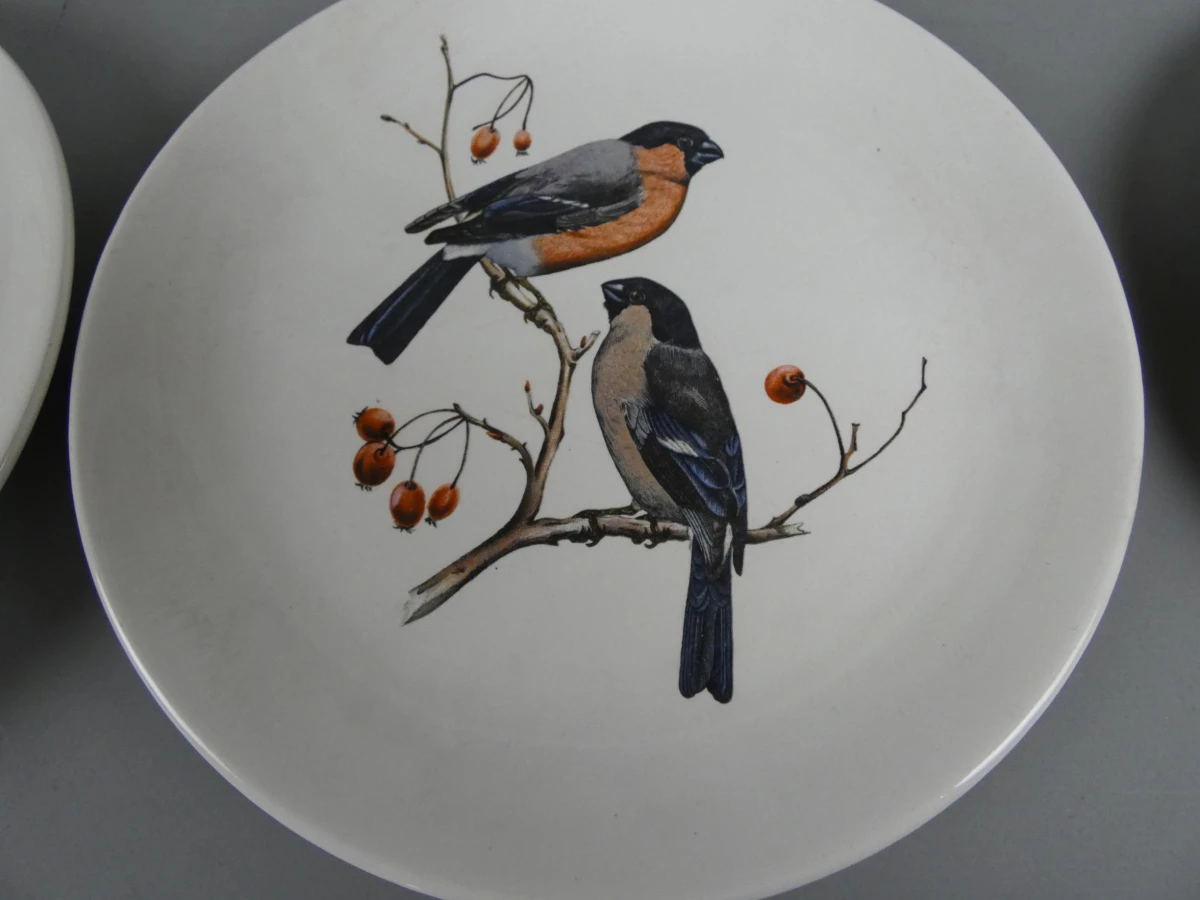 6 kleine Villeroy & Boch borden vogels - foto 6