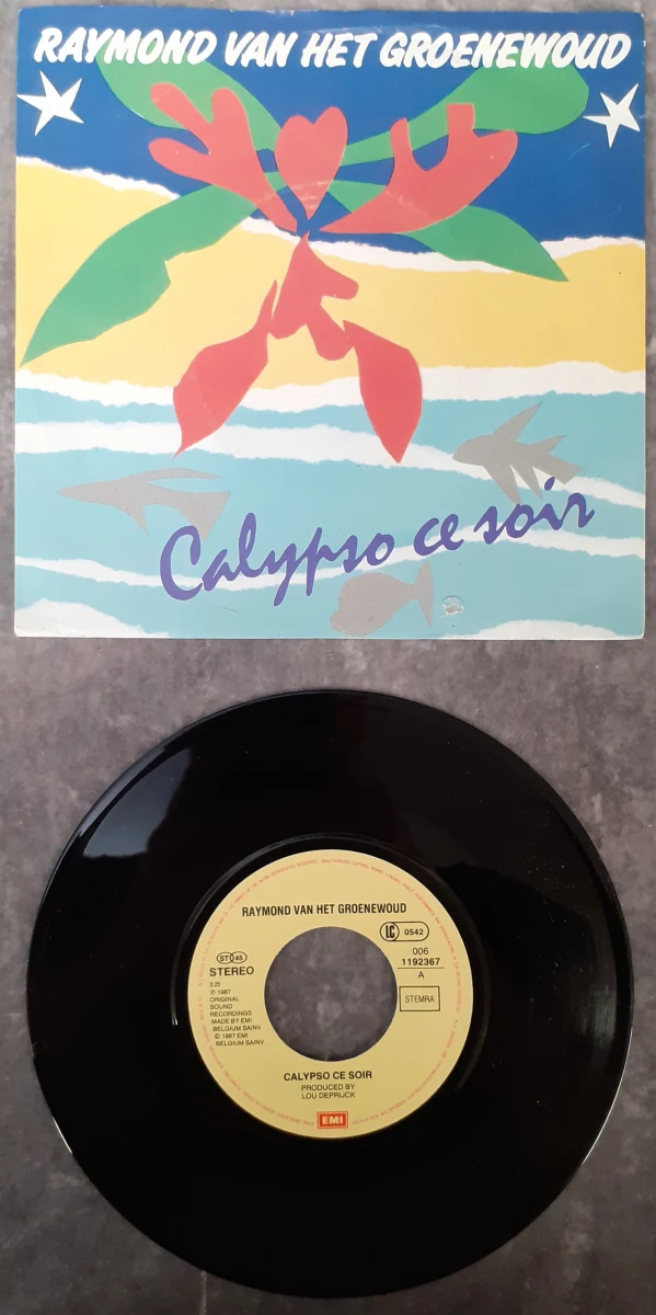 Vinyl: Set van 5 Raymond Van Het Groenewoud singles (45rpm) - foto 9