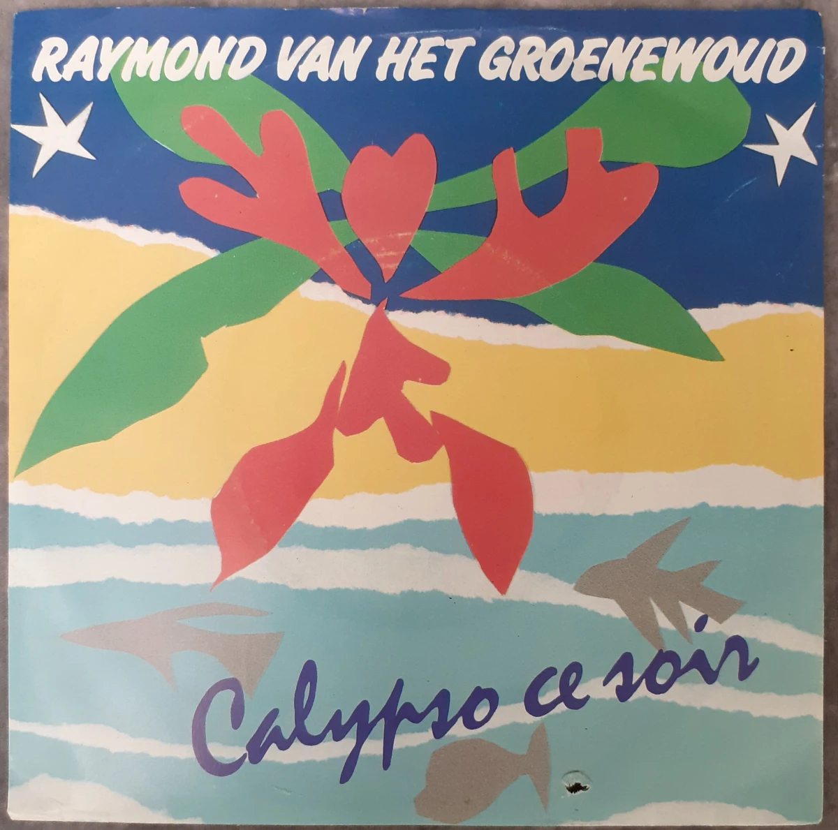 Vinyl: Set van 5 Raymond Van Het Groenewoud singles (45rpm) - foto 8
