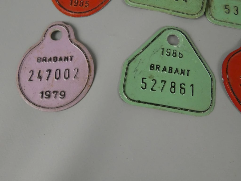 Set oude metalen fietsplaten uit Brabant en andere regio's - foto 8