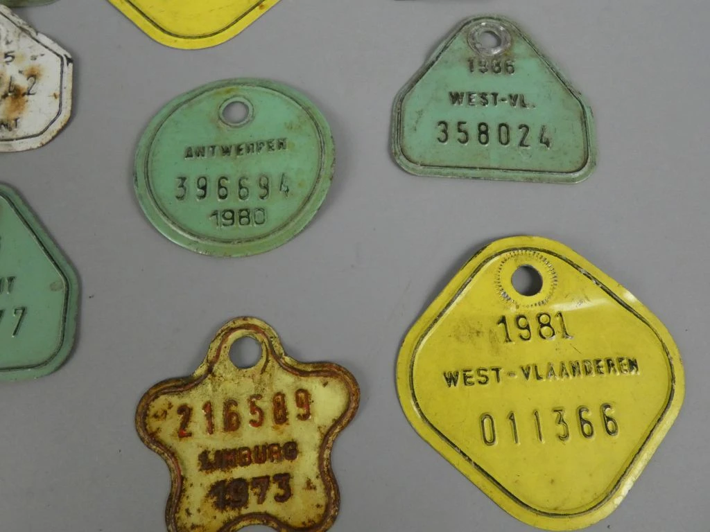 Set oude metalen fietsplaten uit Brabant en andere regio's - foto 5