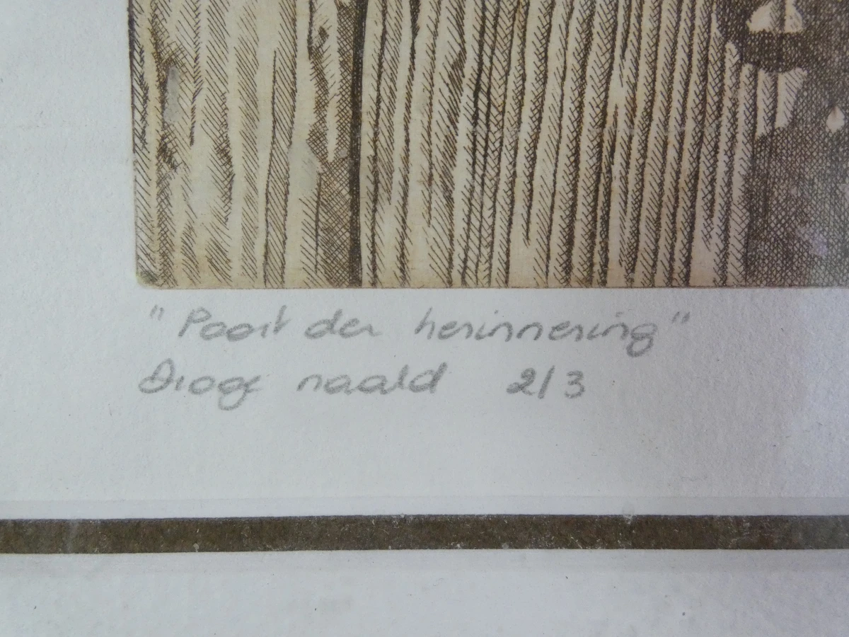 Ingelijste drogennaaldets  - Karine Dekyvere – Poort der herinnering (2001) - foto 10