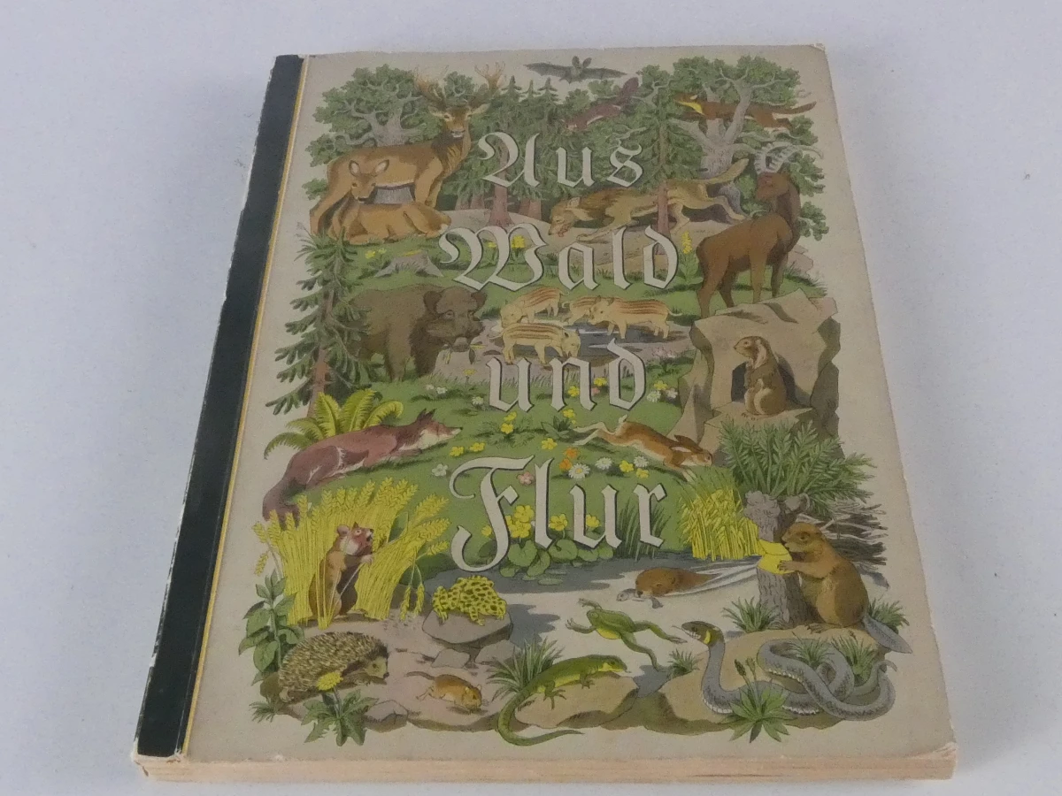 Vintage plaatjesalbums uit de jaren 1930–1950 - foto 15
