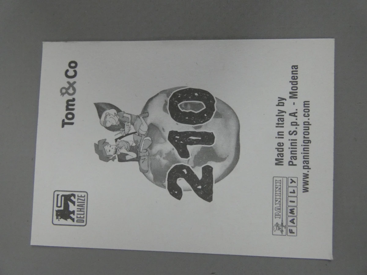 Wereld Panini stickers - foto 7