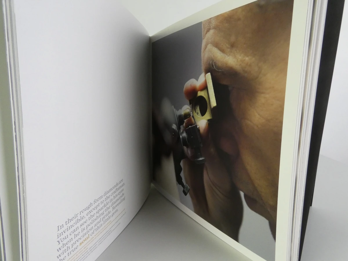 Twee fotografieboeken over Vlaanderen - Tom D'haenens - foto 10