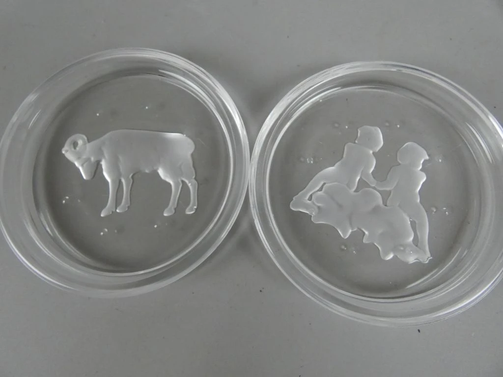 Set van 11 glazen onderzetters met dieren- en sterrenbeeldmotieven Ø 9 cm - foto 4