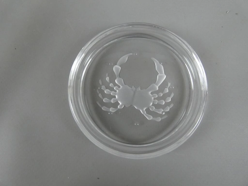 Set van 11 glazen onderzetters met dieren- en sterrenbeeldmotieven Ø 9 cm - foto 7