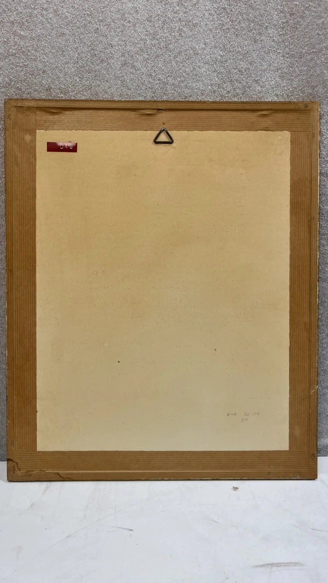 Antieke ingelijste lithografie naar C.F. von Brockdorff – Maltees rijtuig (Calesse) bij Strada Reale, 19e eeuw - foto 6