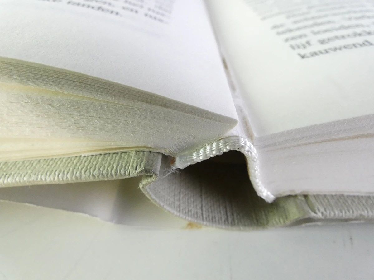 Set van 20 boeken - De Morgen Bibliotheek: De Verboden Boeken - foto 8