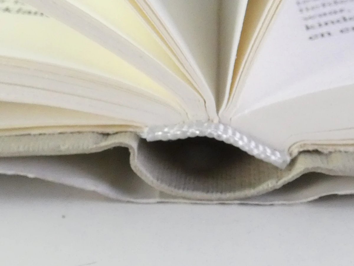 Set van 20 boeken - De Morgen Bibliotheek: De Verboden Boeken - foto 12