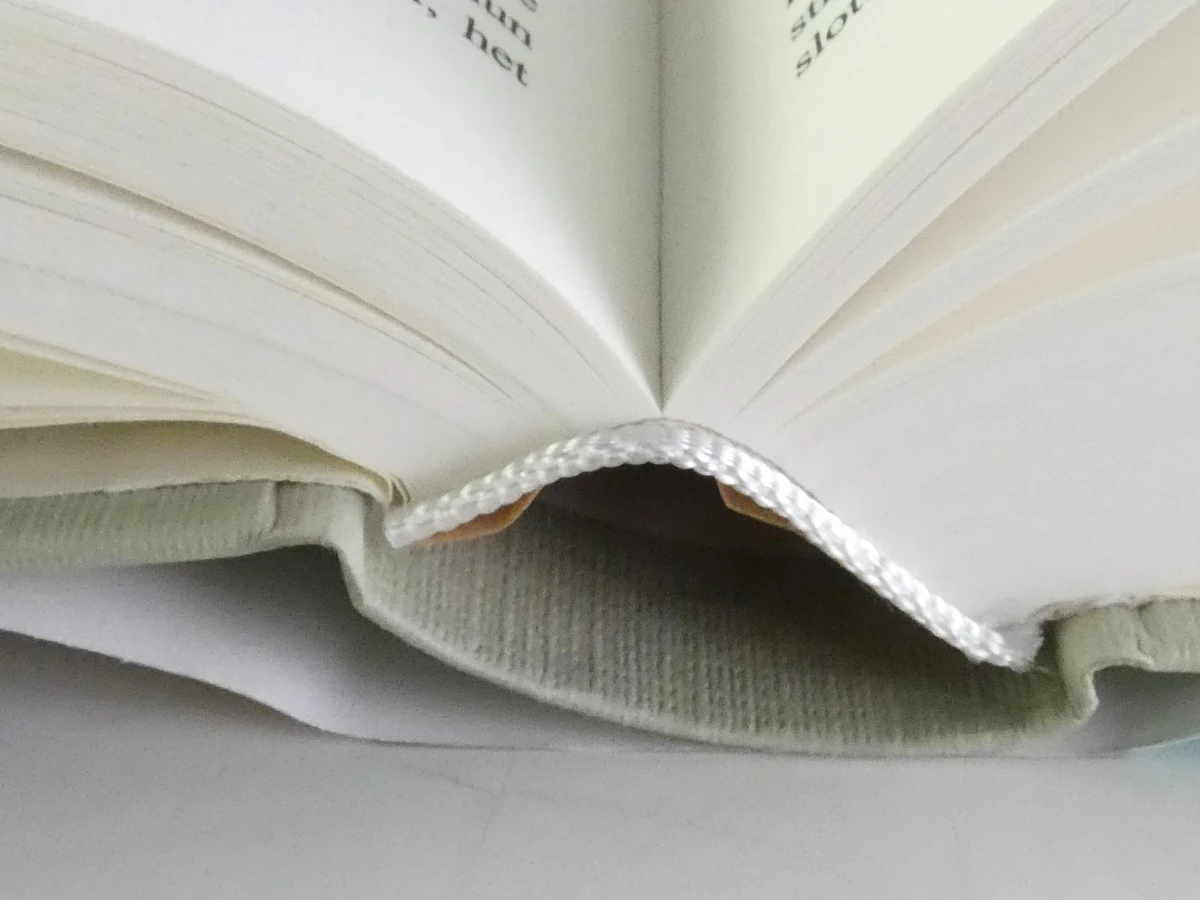 Set van 20 boeken - De Morgen Bibliotheek: De Verboden Boeken - foto 19