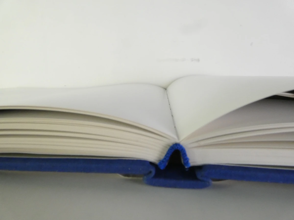Kunstboek - Toon Hermans: Schilderijen, tekeningen en gedachten - foto 5