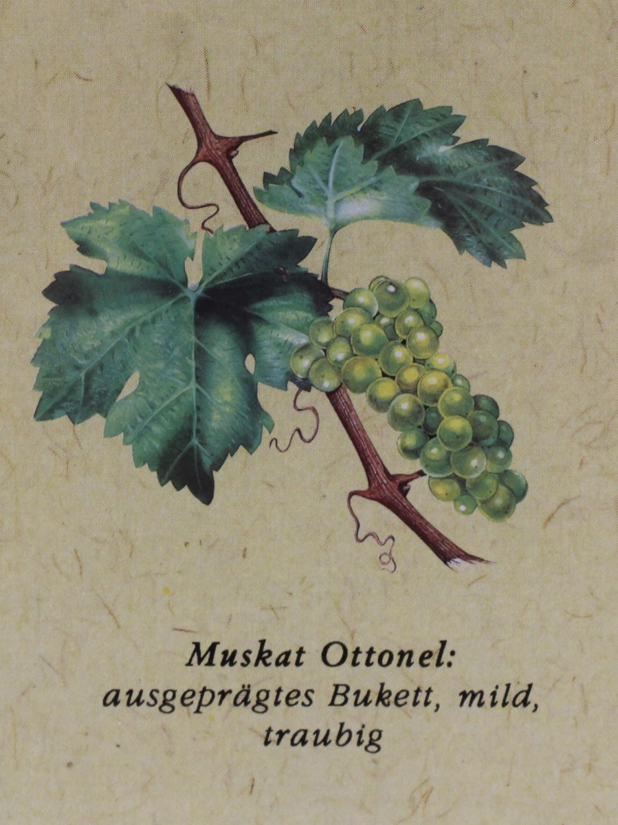 Oostenrijkse Wijnposter [1986] - foto 3