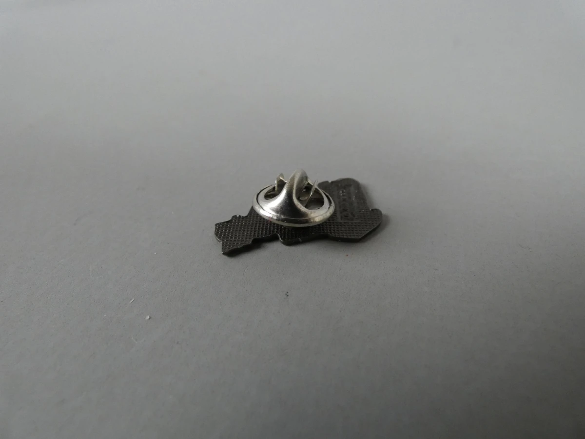 Collectie pins - foto 6
