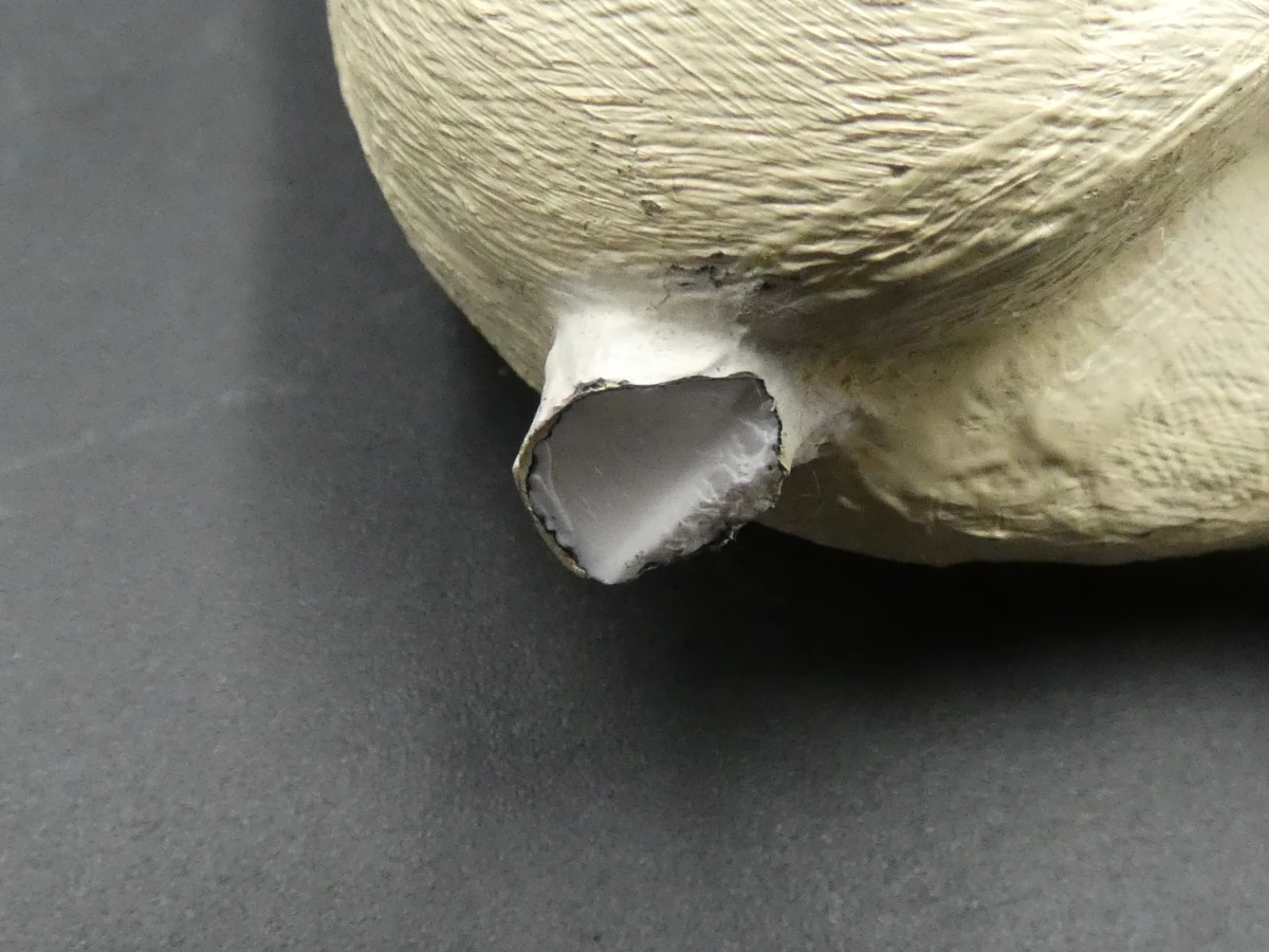 Grote verzameling Papo en Schleich figuren - foto 23