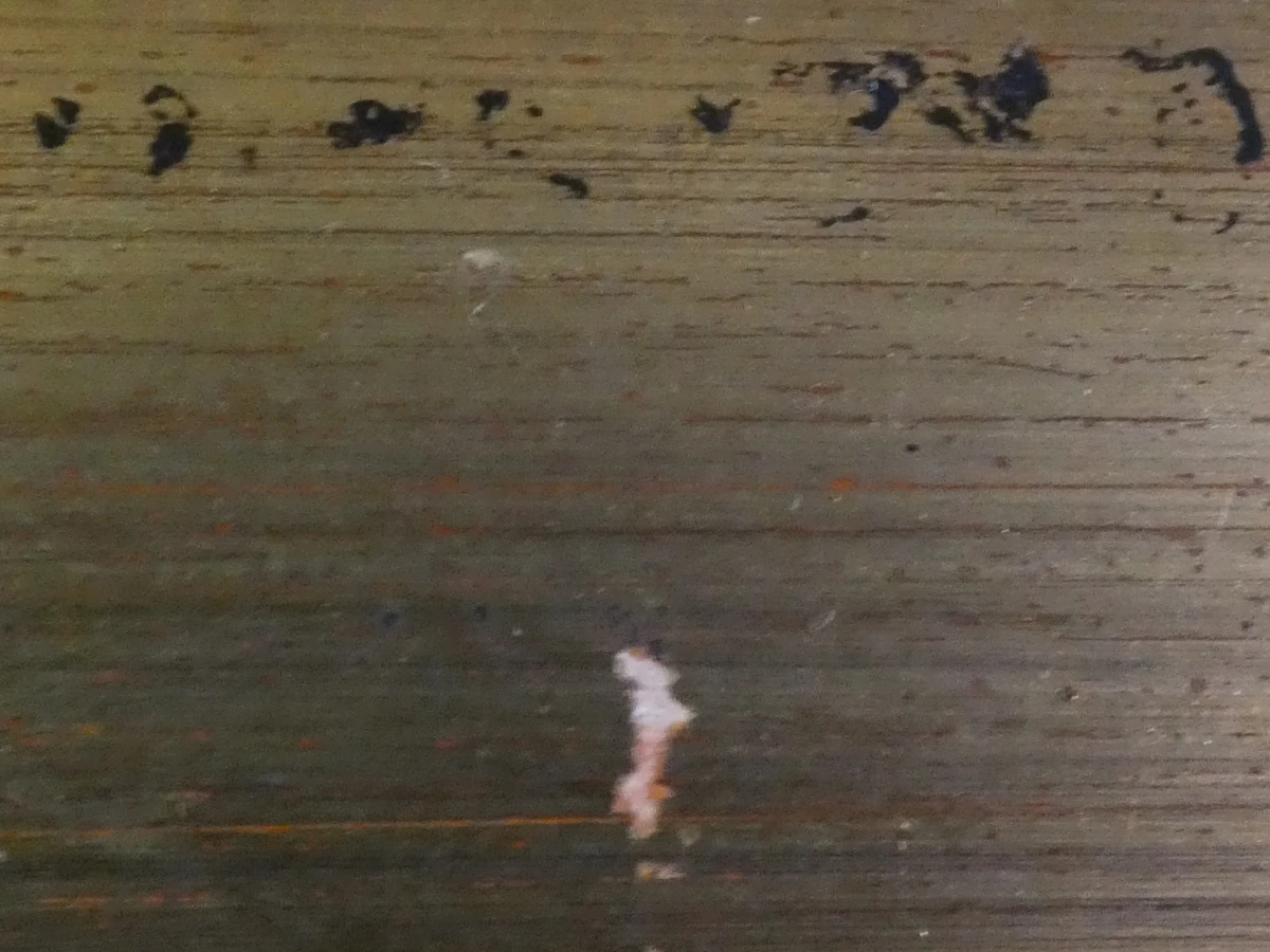 Olieverfschilderij met boot - gesigneerd A. Dewaele - foto 15