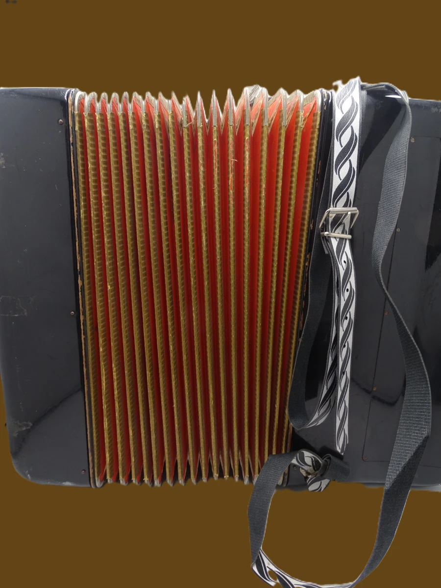 Hohner Amati VB accordeon - foto 11