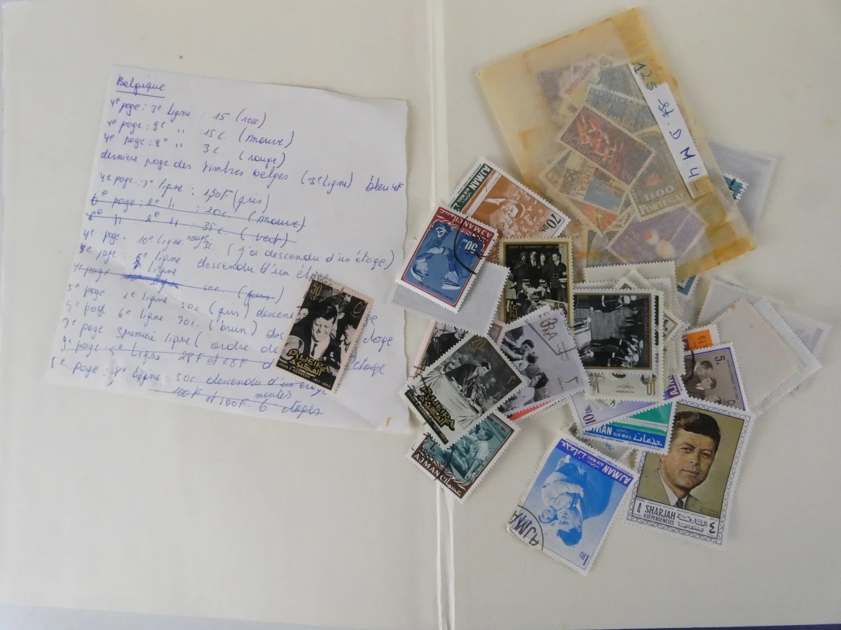 Filatelistische Collectie: Set van 14 albums - foto 4