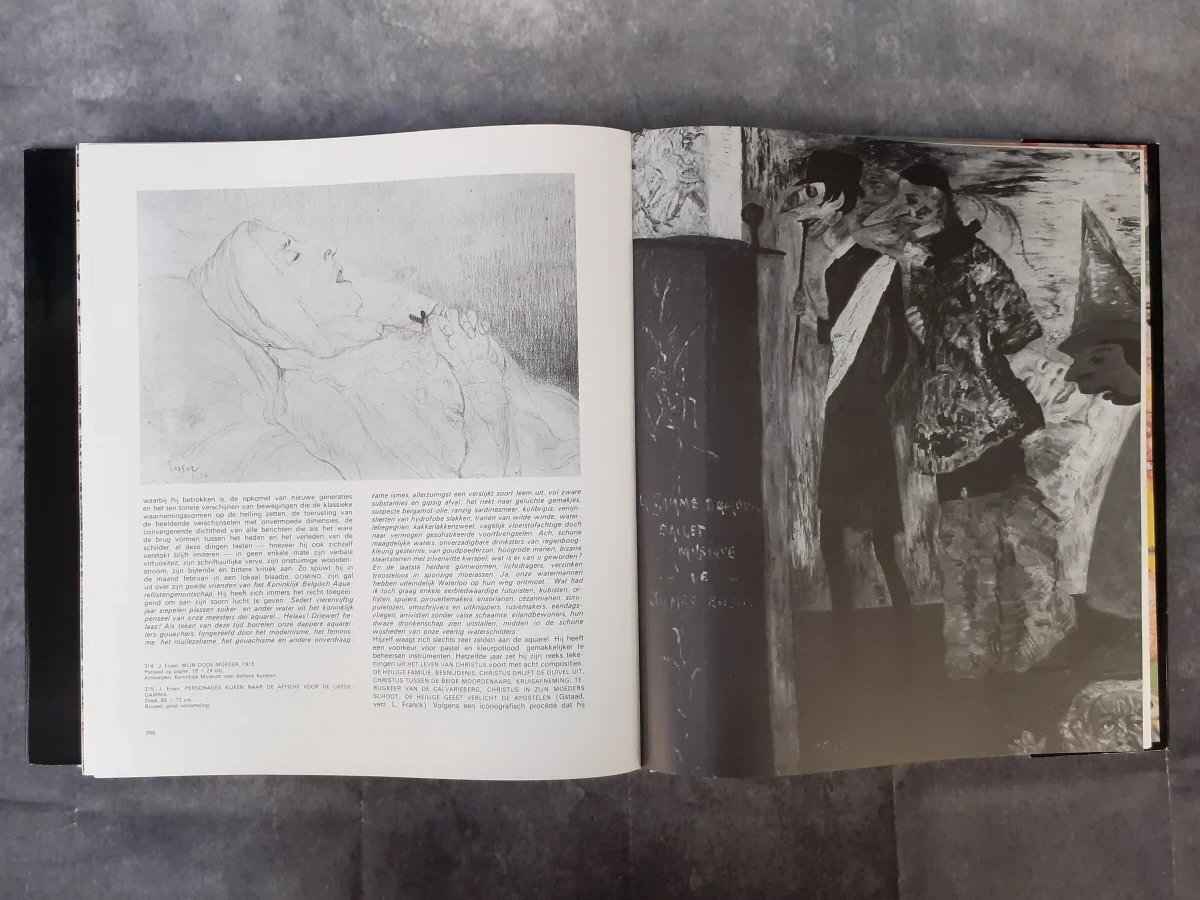 Boek: Ensor