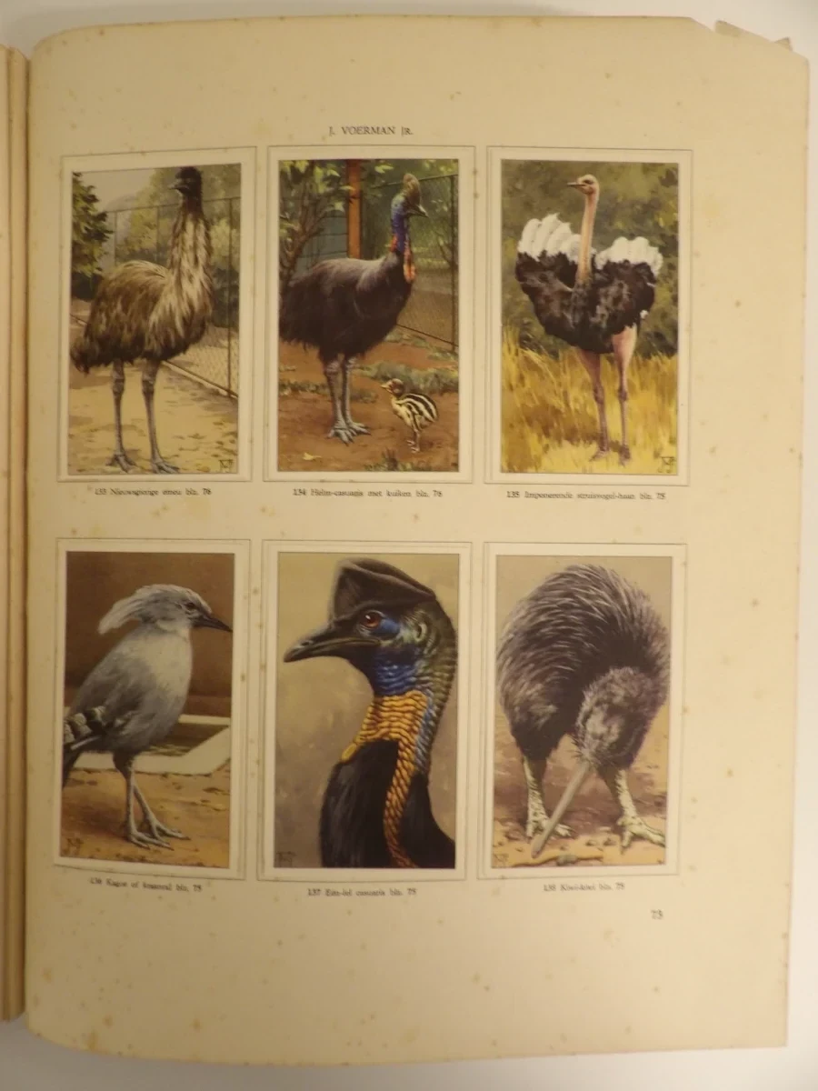 3 Verkade-plaatjesalbums (1931, 1938, 1940) - foto 16