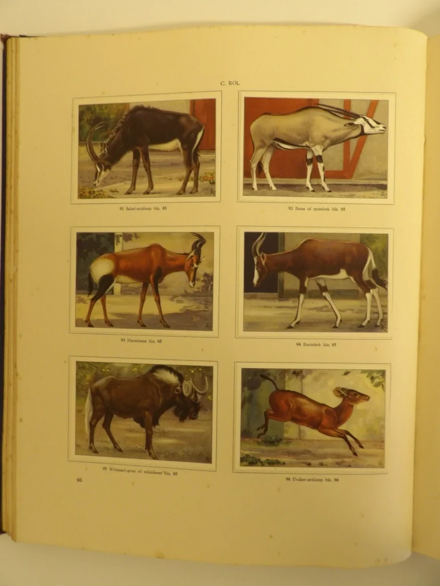 3 Verkade-plaatjesalbums (1931, 1938, 1940) - foto 15