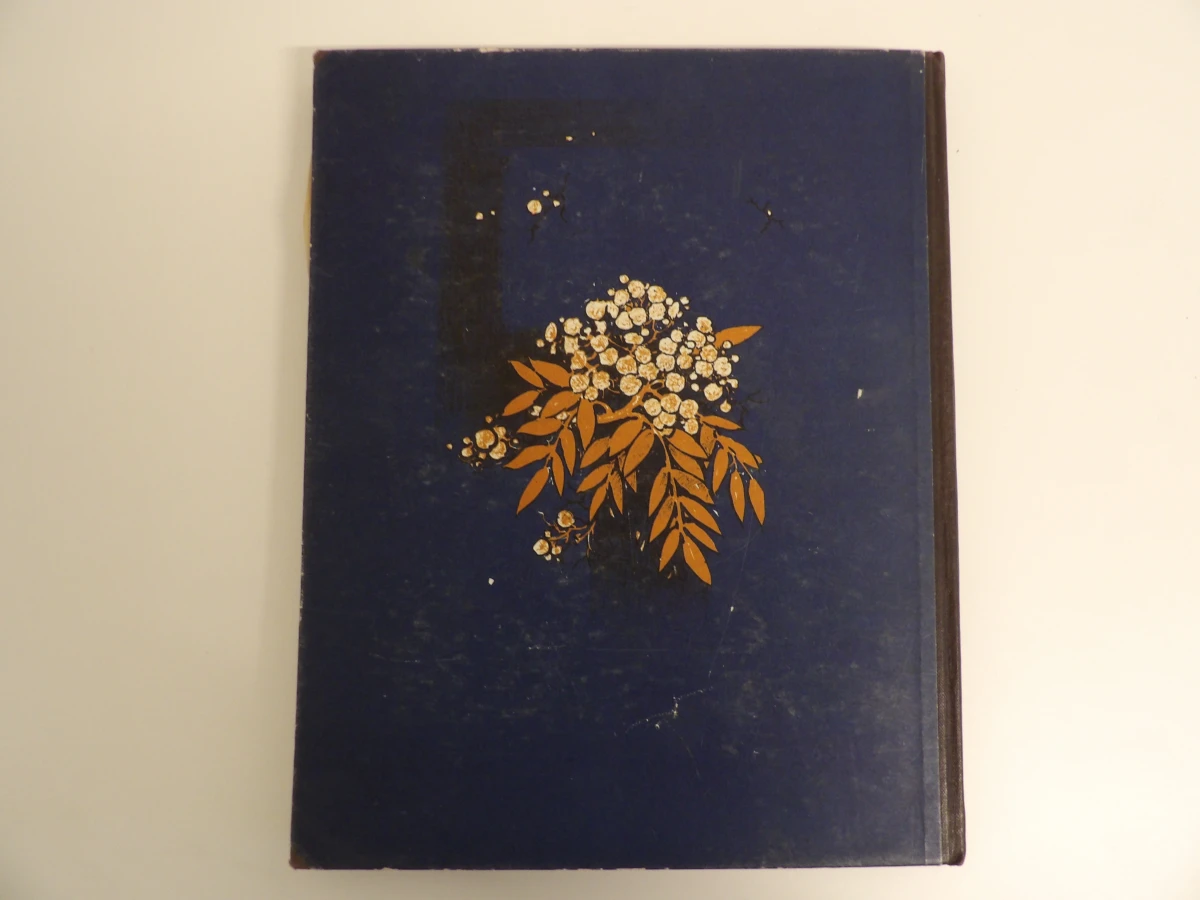 3 Verkade-plaatjesalbums (1931, 1938, 1940) - foto 13