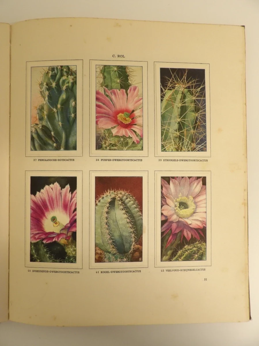3 Verkade-plaatjesalbums (1931, 1938, 1940) - foto 5