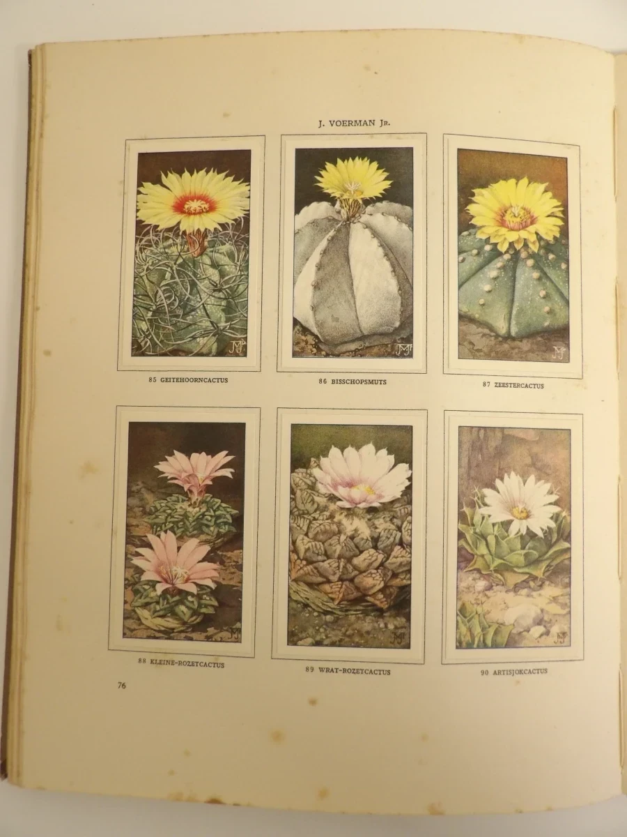 3 Verkade-plaatjesalbums (1931, 1938, 1940) - foto 6