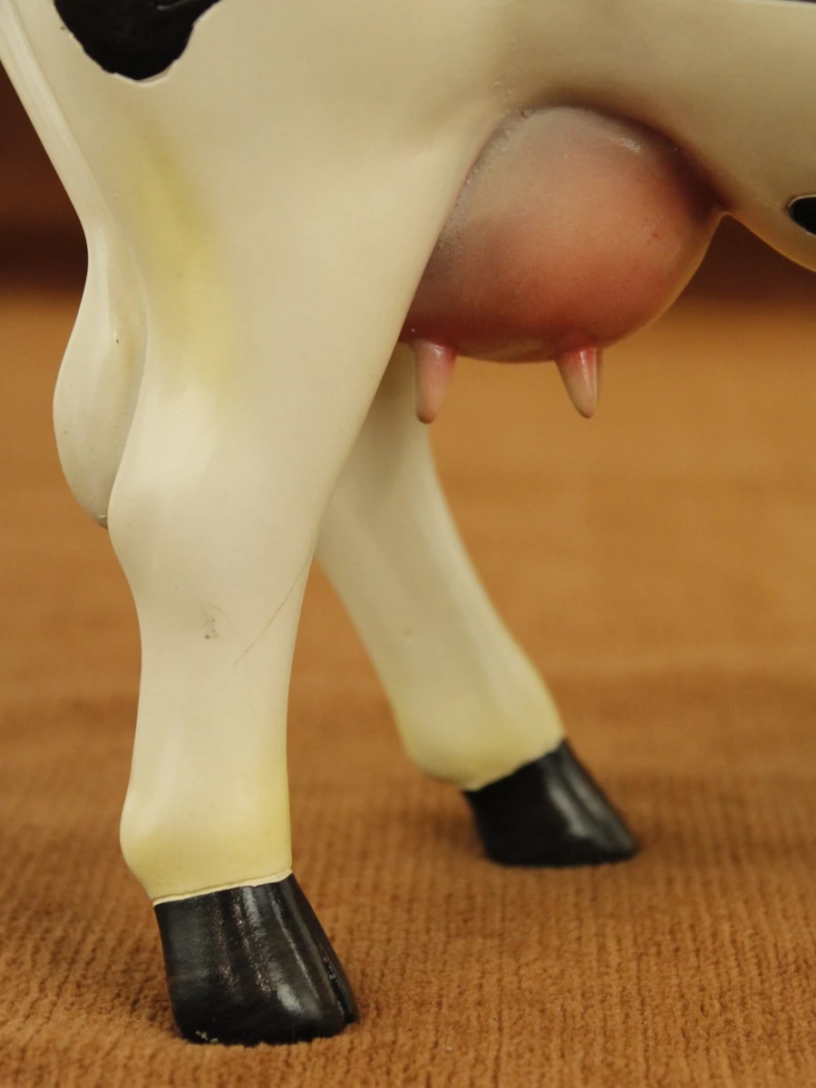 CowParade – The Herd – Sheryl L. Parsons – Chicago 1999 – Grote verzameleditie - foto 5