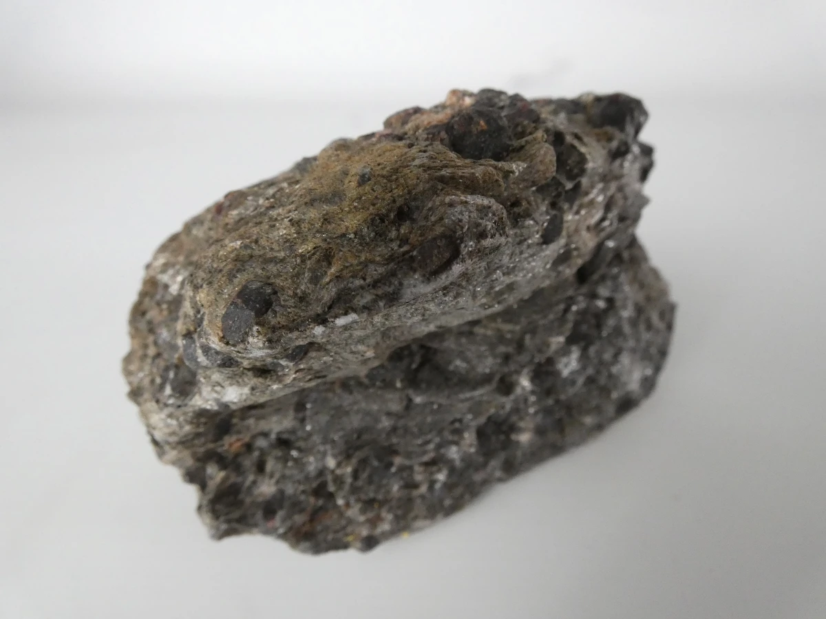 Verzameling mineralen, fossielen en schelpen met opbergdoos - foto 2