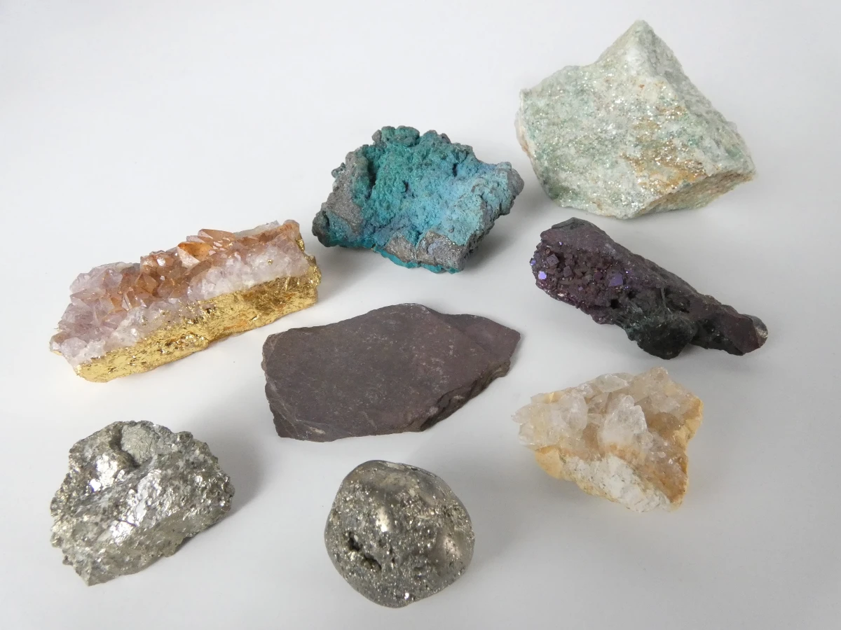 Verzameling mineralen, fossielen en schelpen met opbergdoos - foto 3