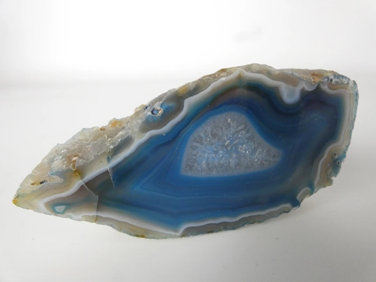 Verzameling mineralen, fossielen en schelpen met opbergdoos - foto 4