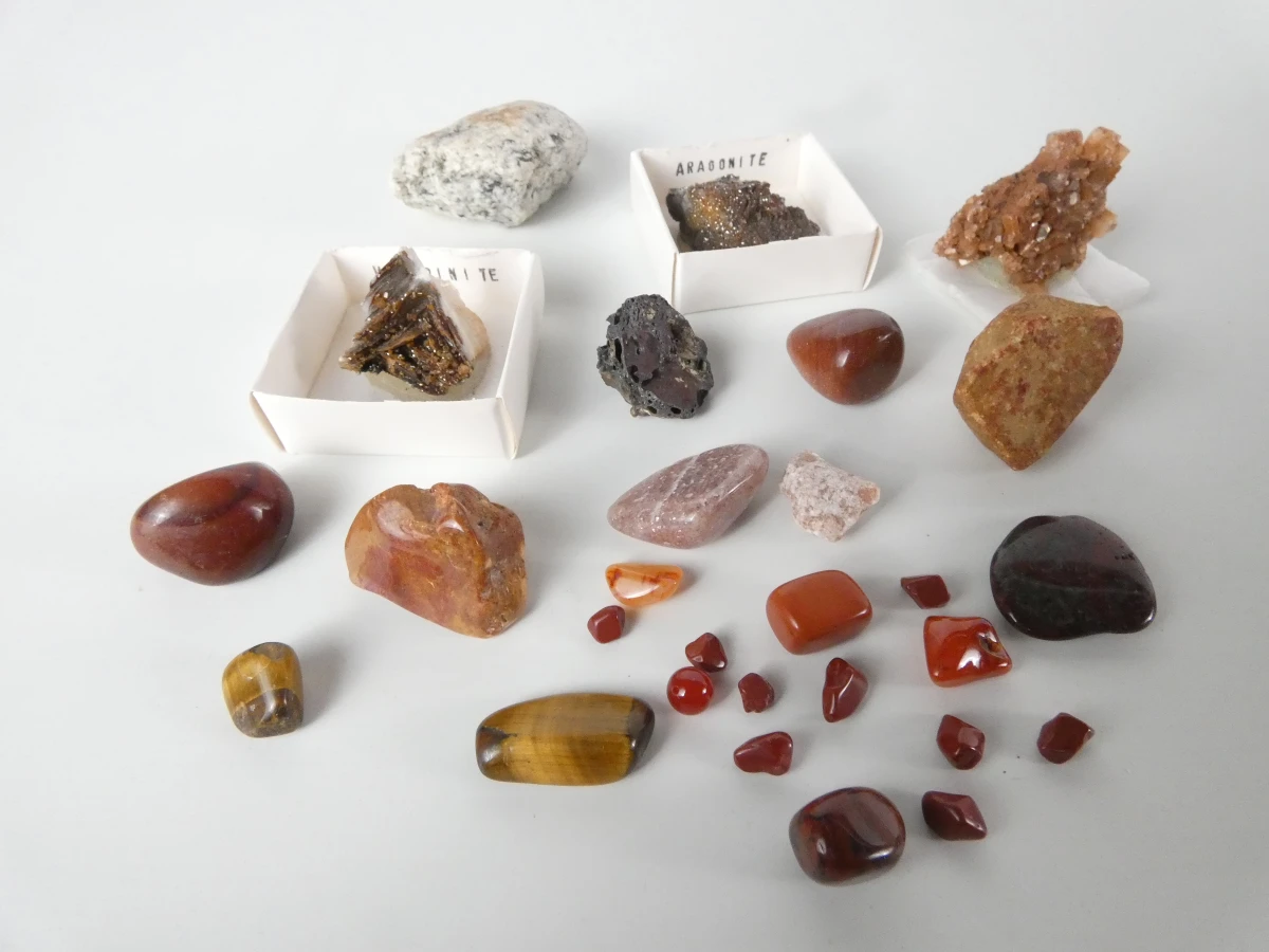 Verzameling mineralen, fossielen en schelpen met opbergdoos - foto 5