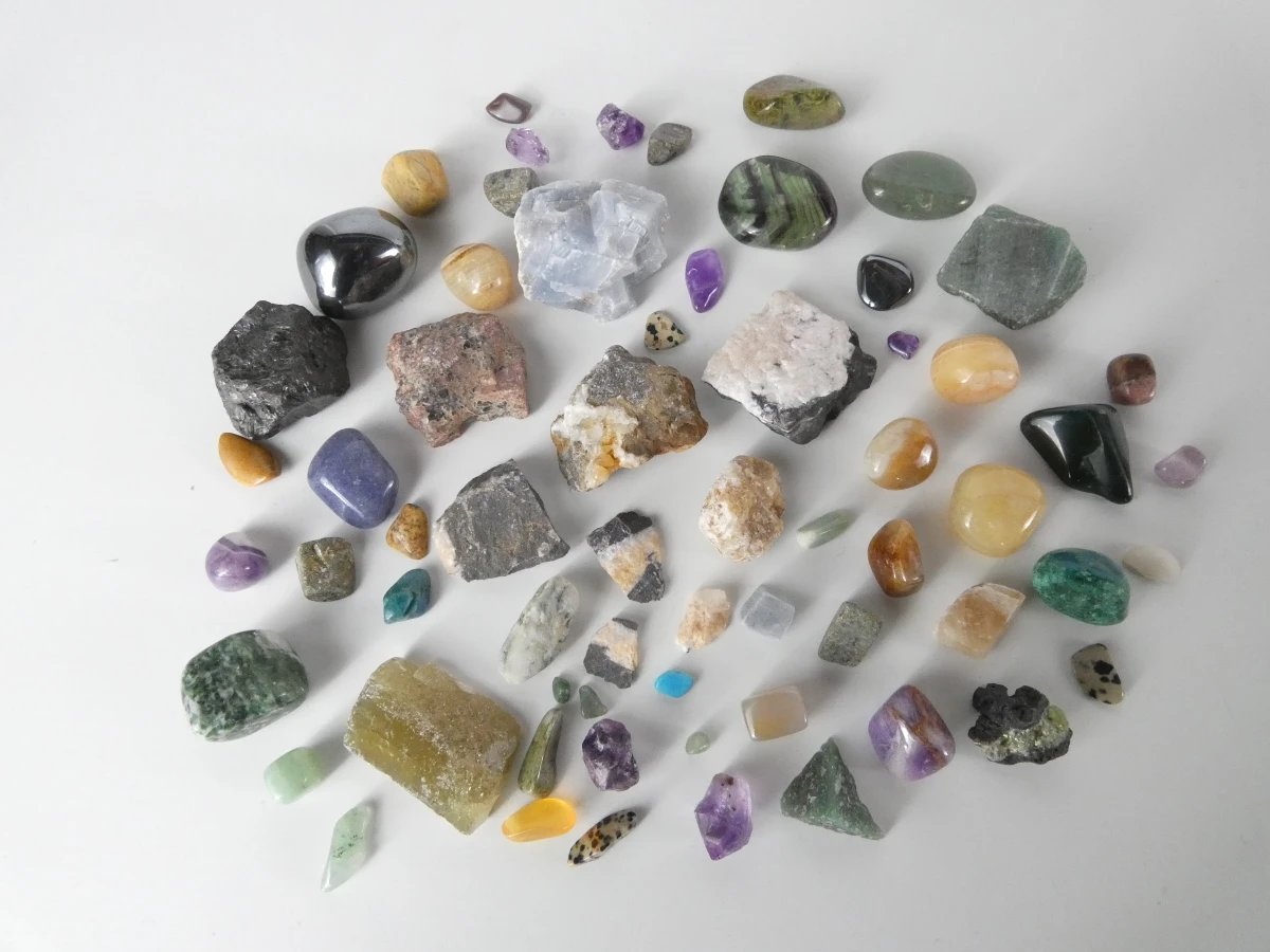 Verzameling mineralen, fossielen en schelpen met opbergdoos - foto 6