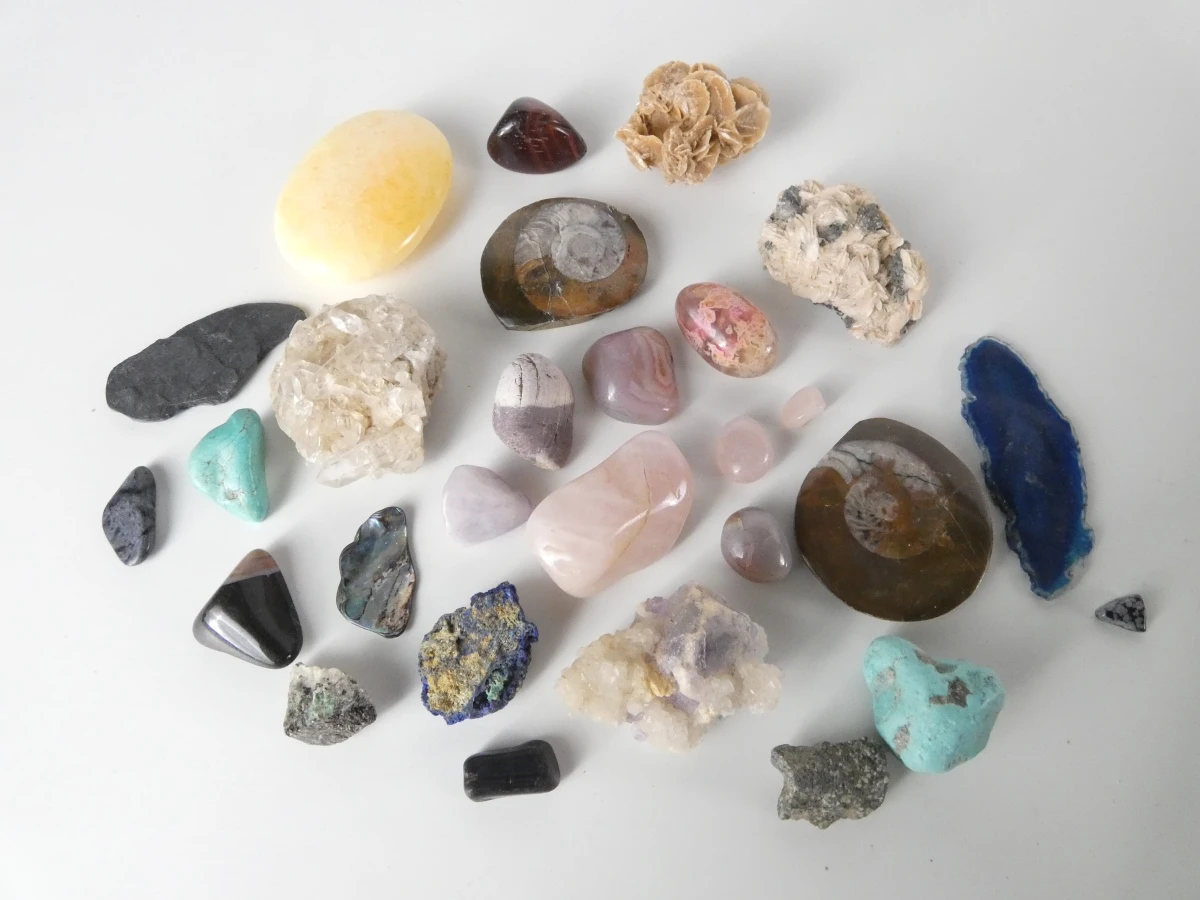 Verzameling mineralen, fossielen en schelpen met opbergdoos - foto 7