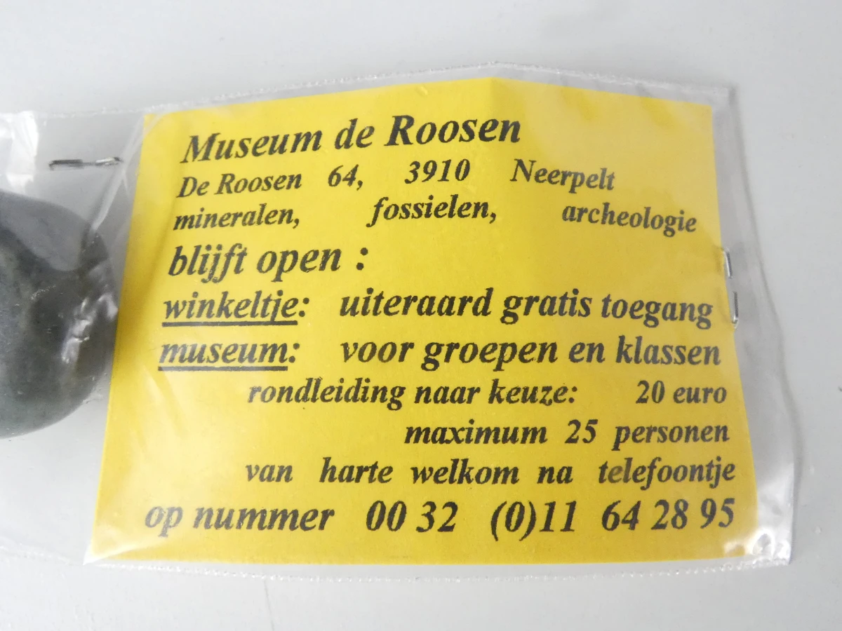 Verzameling mineralen, fossielen en schelpen met opbergdoos - foto 13