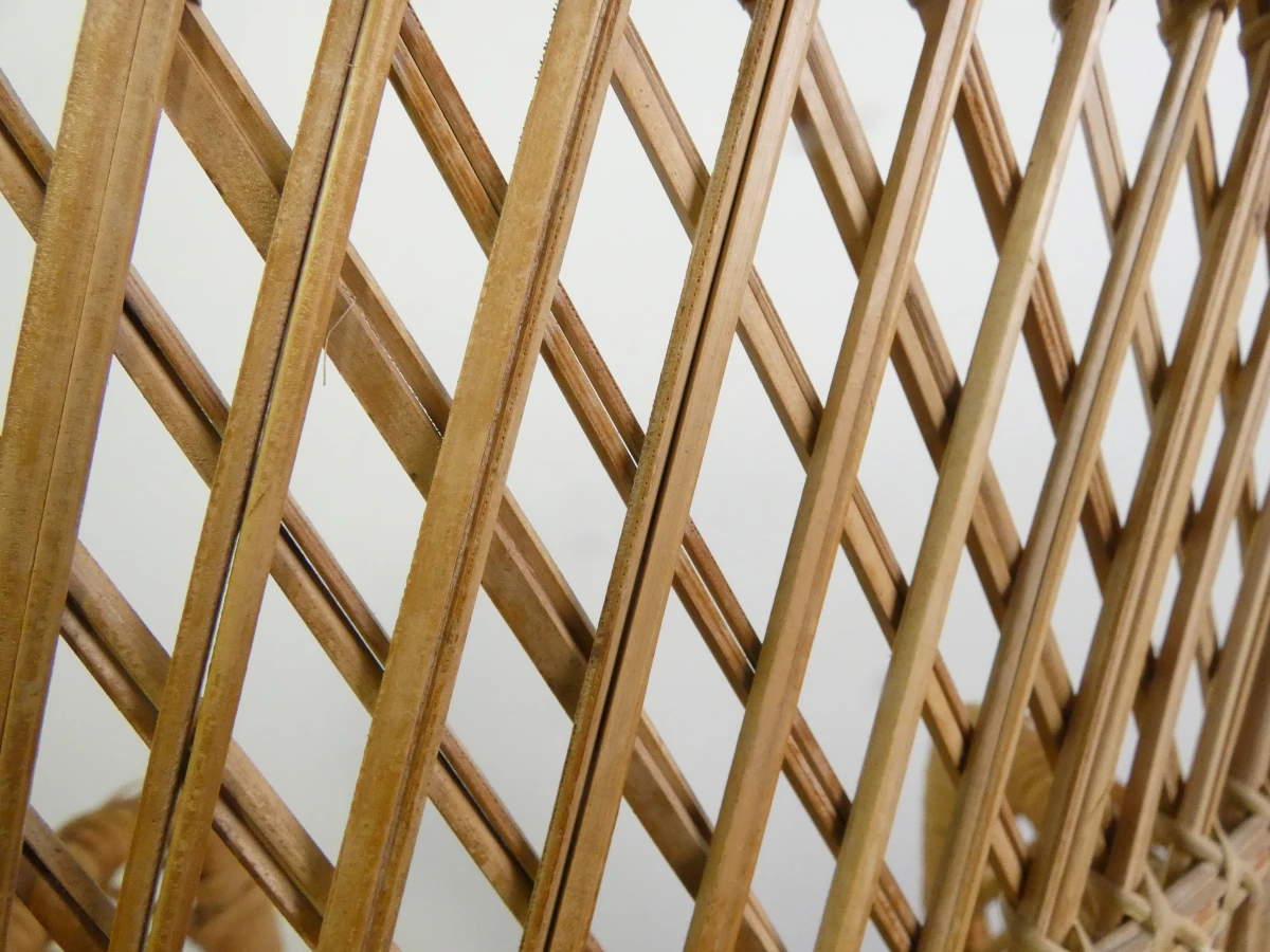 Set van 3 vintage rotan stoelen – decoratieve pauwenstoel en twee kinderstoelen - foto 18